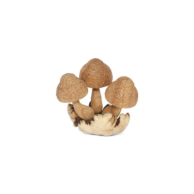 Decorative arrangement of cork mushrooms on a white background