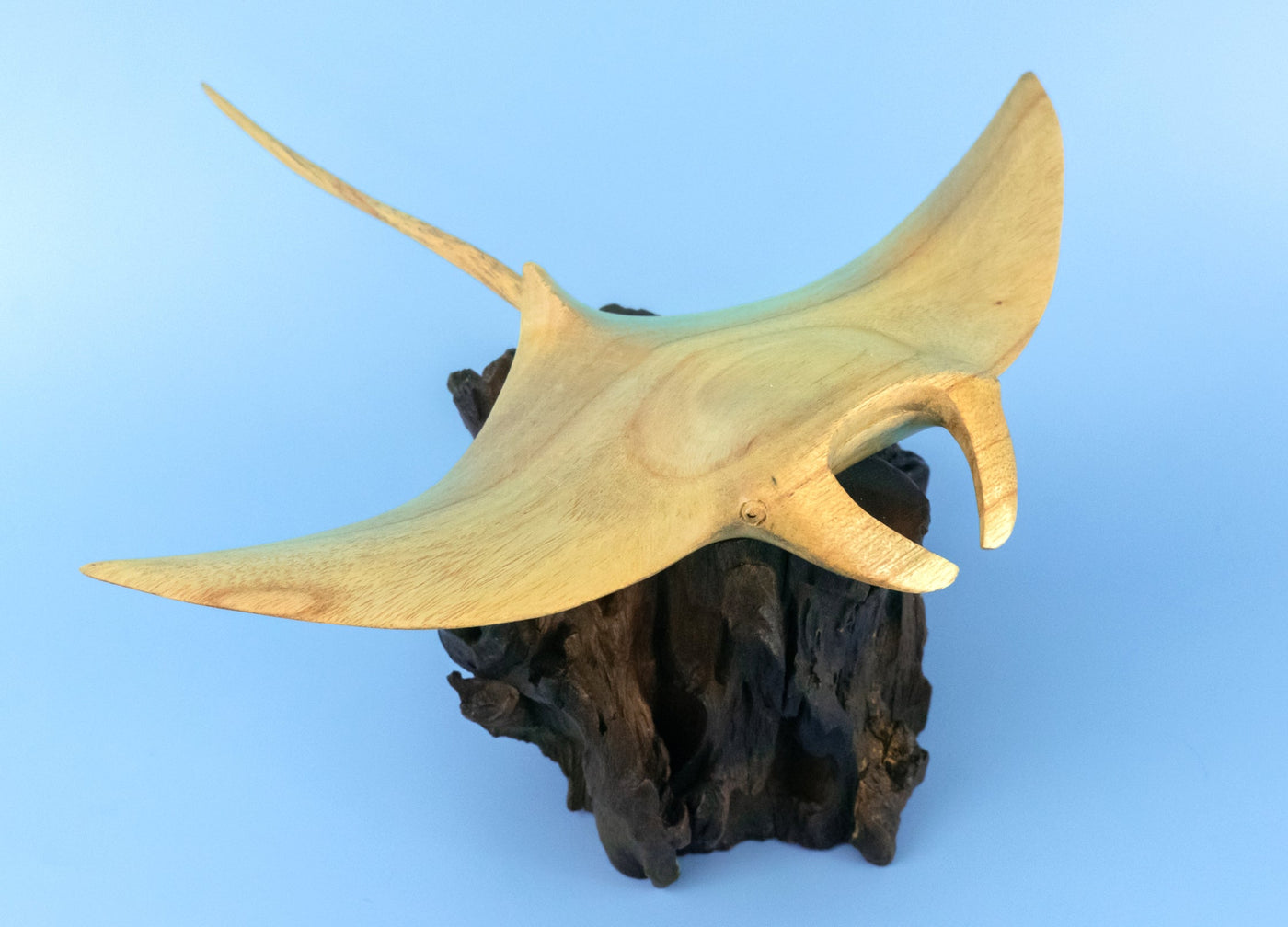 Wooden Hand Carved Stingray on Coral Statue Sculpture Wood Decor Accent Fish Figurine Handcrafted Handmade Seaside Tropical Nautical Ocean Coastal